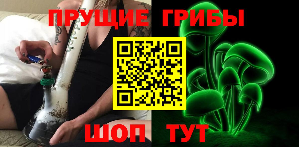 Псилоцибиновые грибы Psilocybine cubensis Касимов